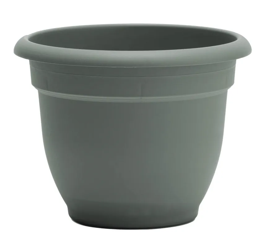 Bloem 12" Ariana Basil Self-Watering Plastic Planter