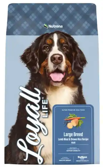 Nutrena Loyall Life Large Breed Lamb Meal & Brown Rice Recipe Dog Food - 40lbs