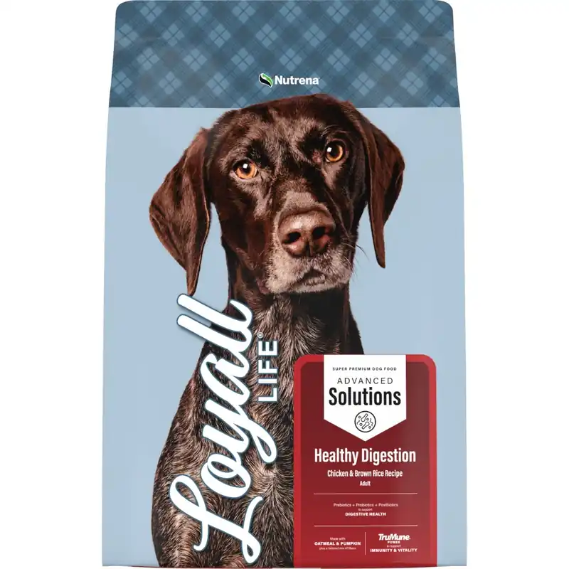 Loyall Life Chicken & Brown Rice Recipe Dog Food- 6lbs