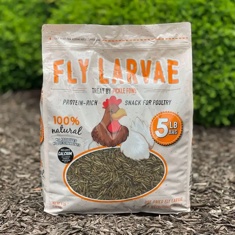 Buffalo Tools Dried Fly Larvae Chicken Treat 5lb Bag