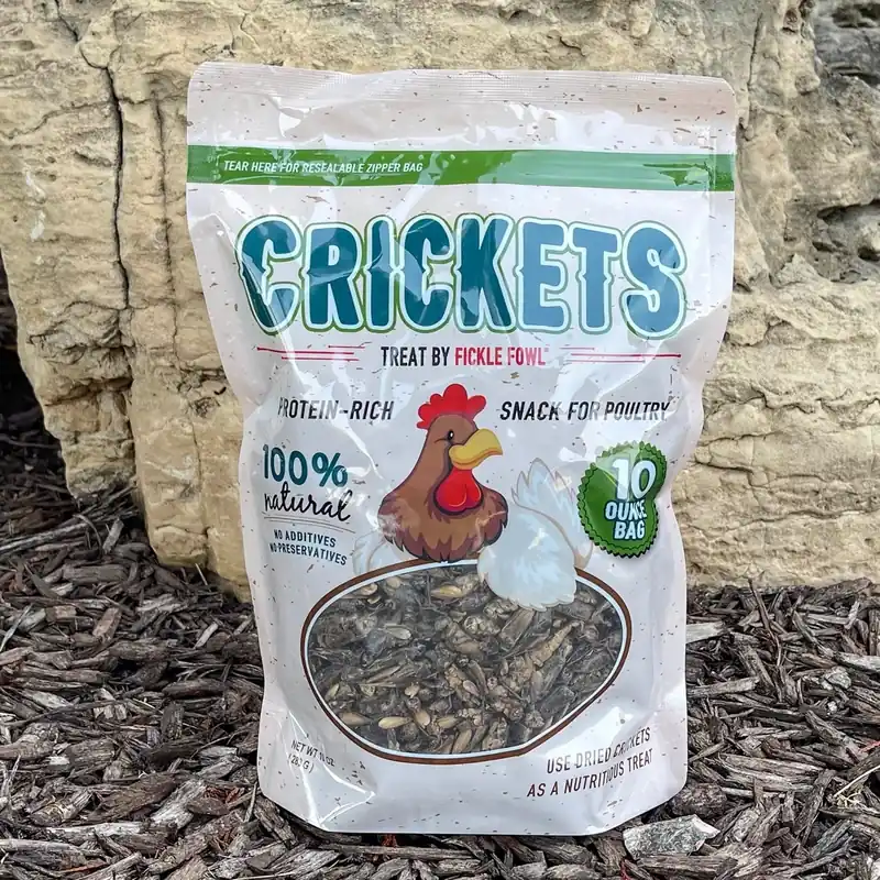 Buffalo Tools Dried Crickets Poultry Treat 10oz Bag