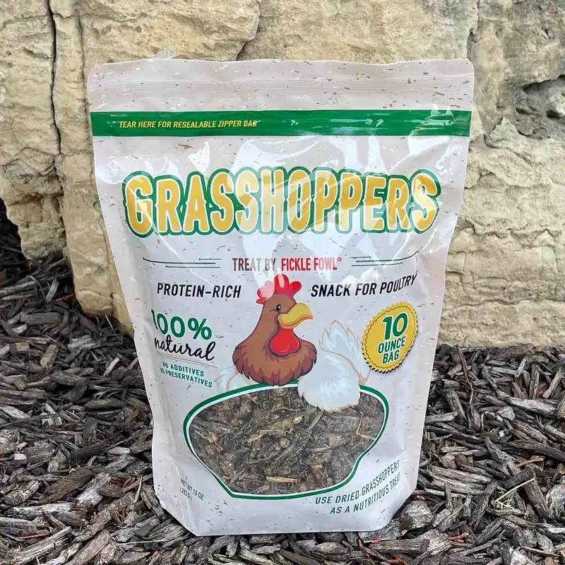 Buffalo Tool Dried Grasshoppers Treat 10 oz Bag