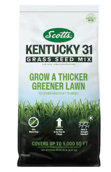 Scotts Kentucky 31 Grass Seed Mix For New Lawns or Overseeding