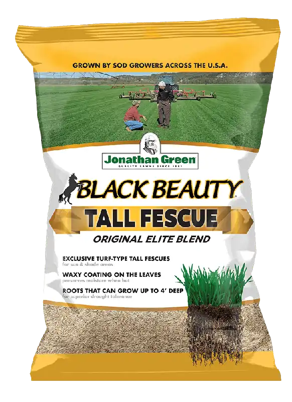Jonathan Green Grass Seed Black Beauty® Original Tall Fescue Blend