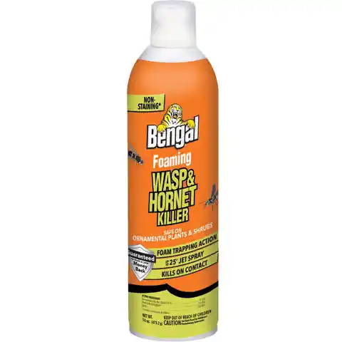 Bengal Foaming Insect Killer Foam 16oz.