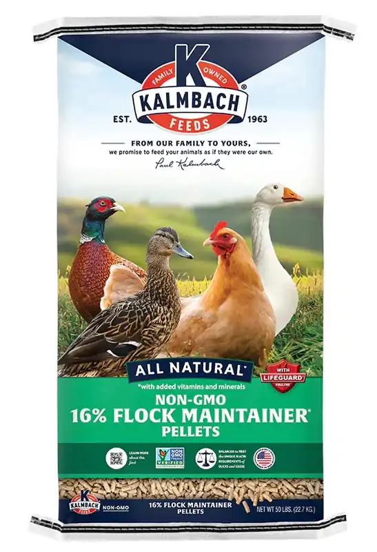 Kalmbach 16% Flock Maintainer® (Non-GMO Pellet) Poultry Feed 50lbs