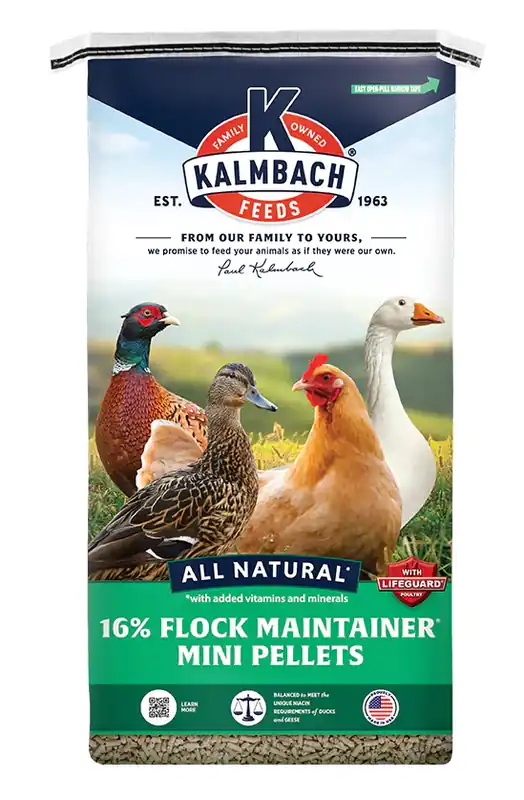 Kalmbach 16% Flock Maintainer Poultry Feed 50lbs