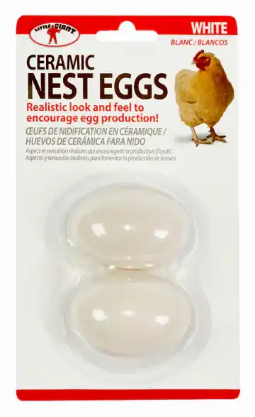 Little Giant Ceramic Nest Eggs - White - 2-pack