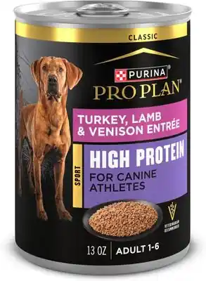 Purina Pro Plan Sport Adult High Protein Turkey, Lamb & Venison Entrée Classic Wet Dog Food - 13 oz