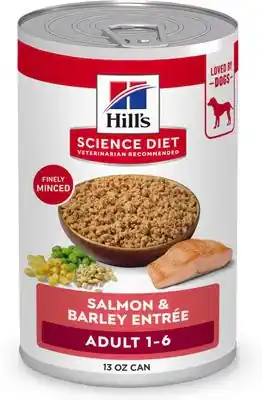 Hill‘s Science Diet Adult Salmon & Barley Entree Wet Dog Food - 13 oz