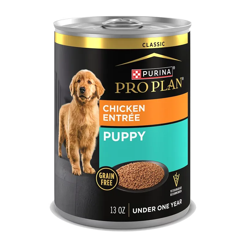Purina Pro Plan Puppy Grain Free Chicken Entrée Classic Wet Dog Food - 13 oz