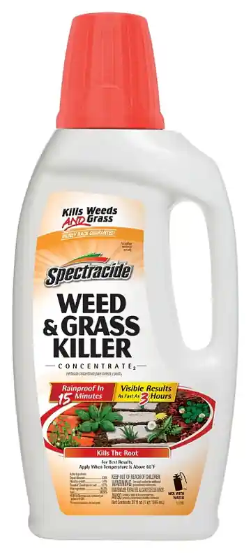 Spectracide Weed and Grass Killer HG-96390 - Liquid 30 oz Bottle
