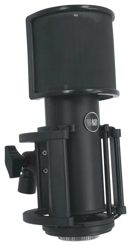 Warm Audio Skylight Large Diaphragm Studio Condenser XLR Microphone + Shock Mount + Bag for Recording and Podcasting