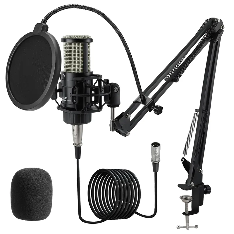 XLR Condenser Microphone, Professional Cardioid Recording Microphone Kit with 25mm Diaphragm for Streaming, Podcasting, Singing, Vocal, Studio Mic with Boom Arm, Pop Filter (AC22)