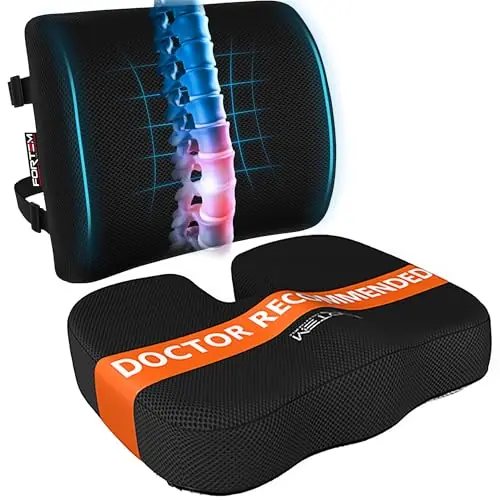 FORTEM Seat Cushion, Office Chair Cushion, Lumbar Support Pillow for Office Chair, Memory Foam Sciatica