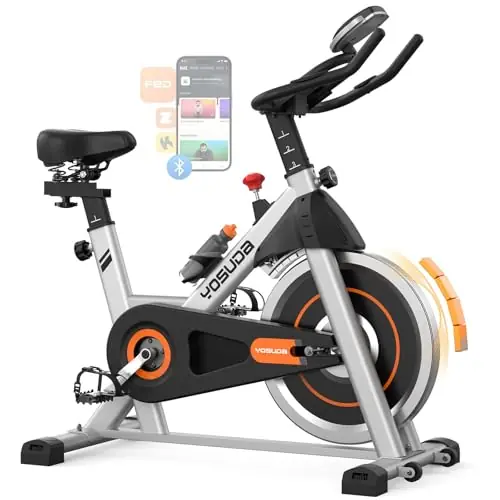 YOSUDA Exercise Bike, Brake Pad Stationary Bike for Home with Exclusive App, Magnetic Indoor Cycling Bike with 300 lb Weight Capacity, Low Noise, Magnetic-Black