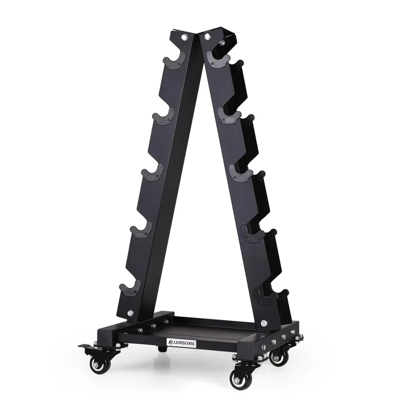 LIONSCOOL Premium Steel Dumbbell Rack Only, with Side Racks Not Fit for Neoprene/Vinyl Coated Dumbbells (Large, 700 LBS)