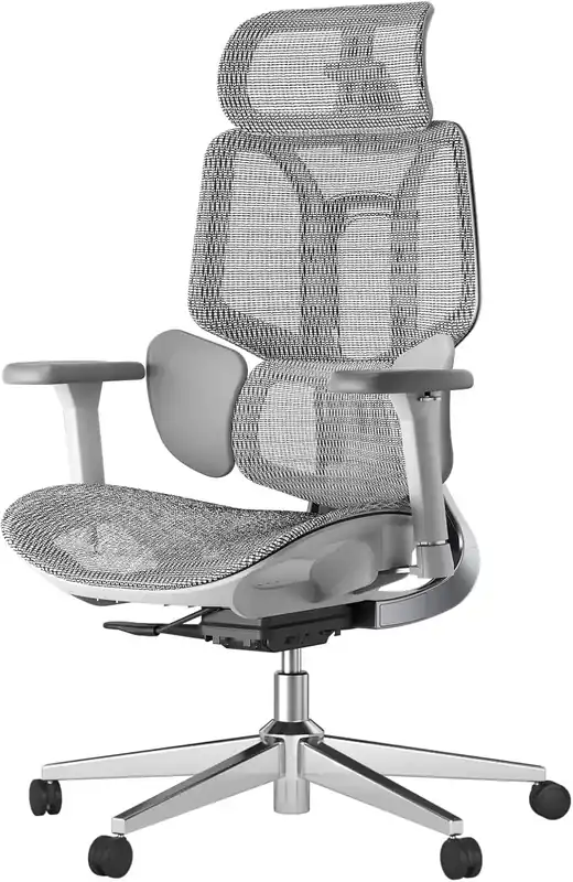Ergonomic Office Chair, Big and Tall Office Chair