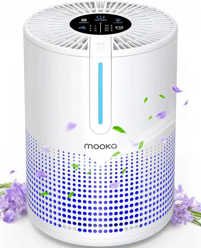 Air Purifiers for Bedroom Home 430 Sq.Ft, H13 HEPA Filter Small Portable