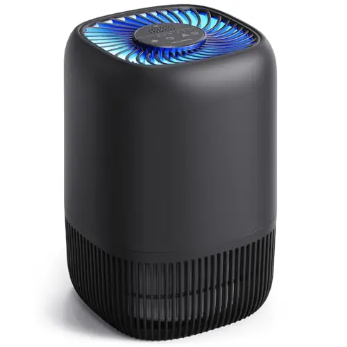 Air Purifiers for Office with H13 Quiet HEPA Filter Up to 1076 Ft² for Pet Family, Pollen, Smoke, Compact Air Cleaner with 3 Speeds, Timer, Black