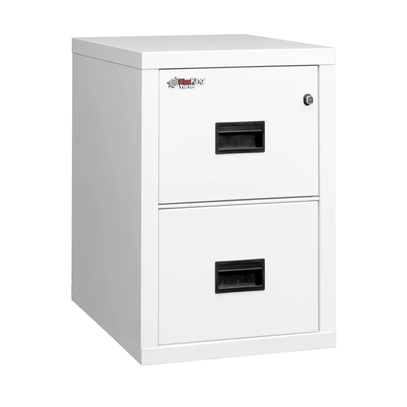 FireKing Turtle Vertical 2 Drawer Legal and Letter Fire Safe File Cabinet with Key Lock, 1 Hour Fire Rated