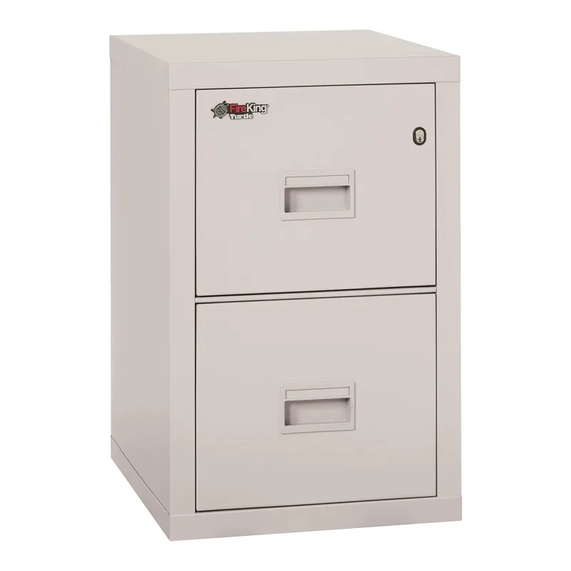 FireKing Turtle Vertical 2 Drawer Legal and Letter Fire Safe File Cabinet with Key Lock