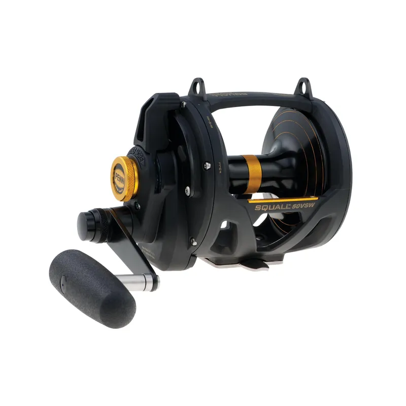 PENN 1292938 Squall Lever Drag 2-Speed Trolling Fishing Reel, 890/50, black, IGFA50, SQL50VSW