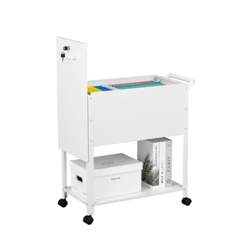 Mobile File Cart, 2-Tier Rolling File Cart with Wheels Hanging Files