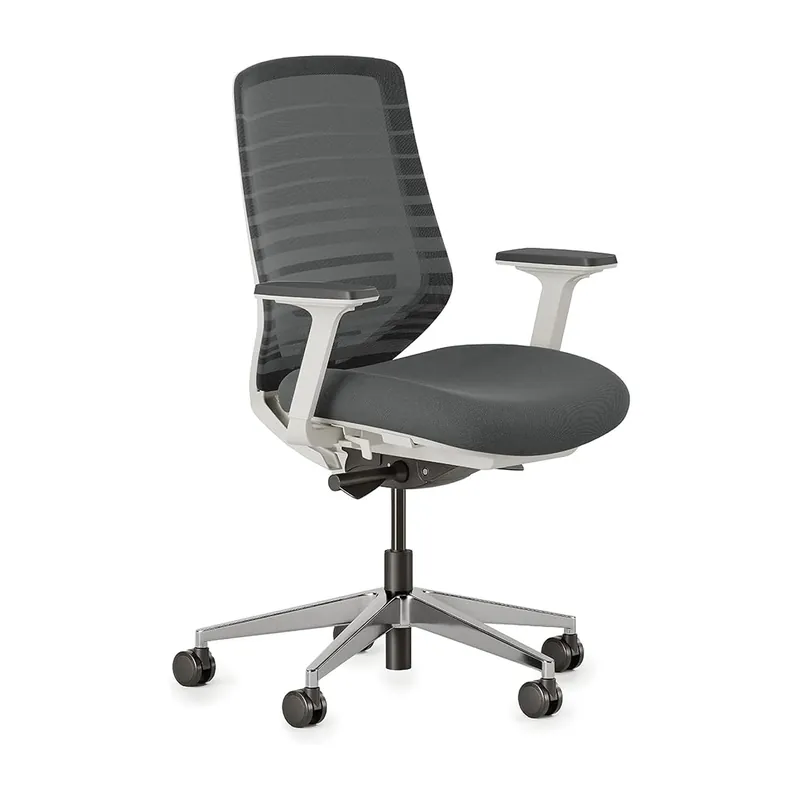 Branch Ergonomic Chair - A Versatile Desk Chair with Adjustable Lumbar Support, Breathable Mesh Backrest, and Smooth Wheels