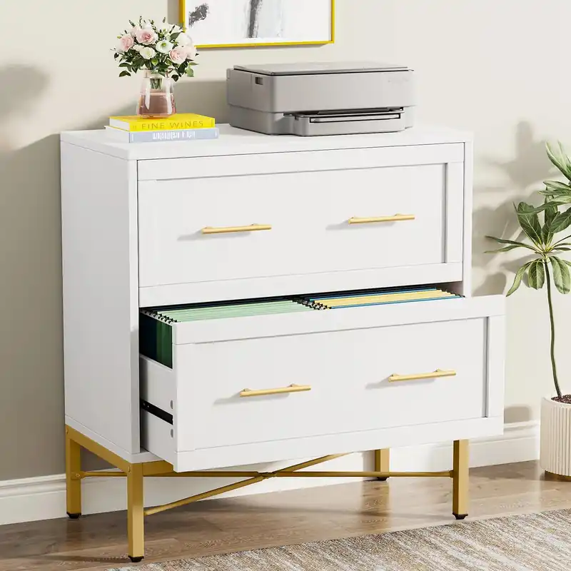 Tribesigns 2 Drawer File Cabinet, Modern Lateral Filing Cabinet for Letter