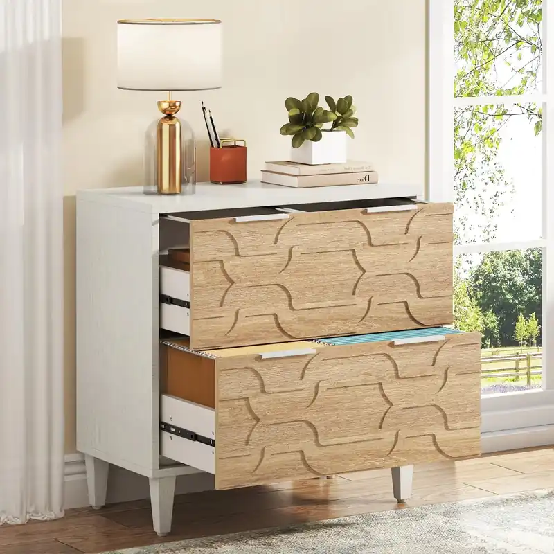 Tribesigns 2-Drawer File Cabinet, Lateral Filing Cabinet for A4/Letter/Legal Size