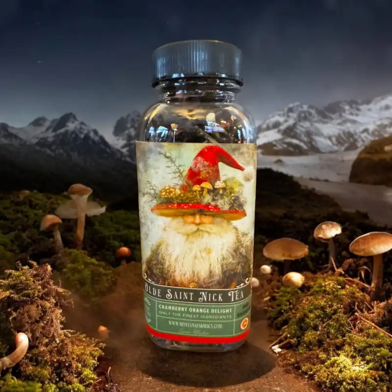 Olde Saint mushroom Nick Vintage Victorian Christmas Tea