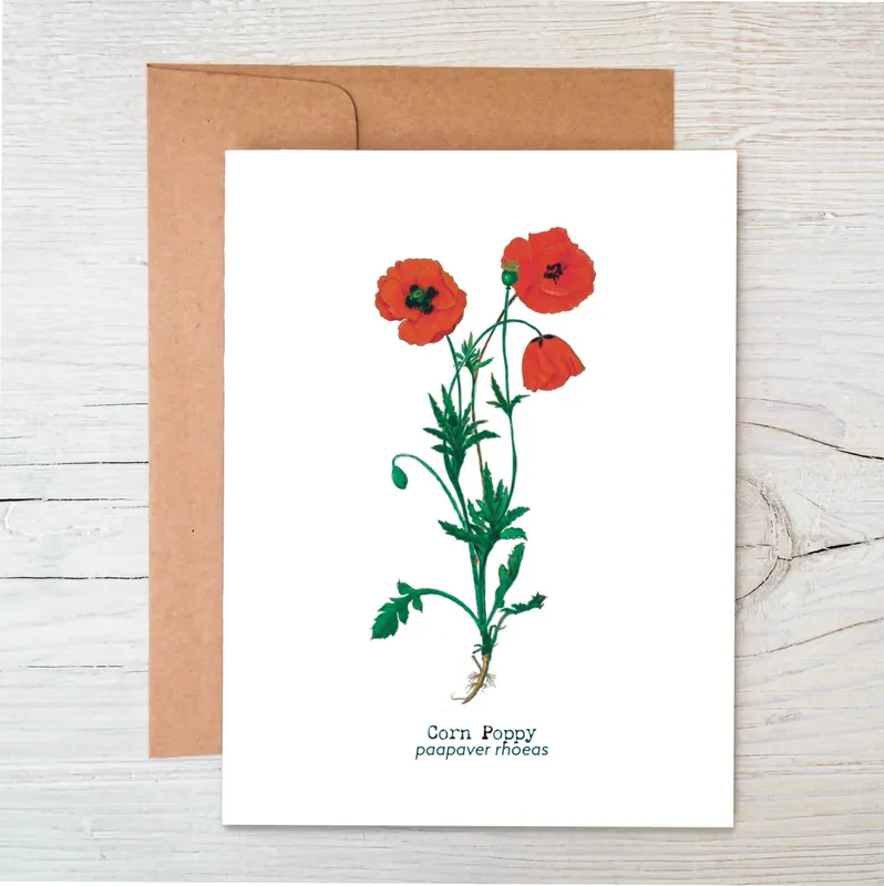 Plantable Wildflower Card Eco Friendly Card Corn Poppy