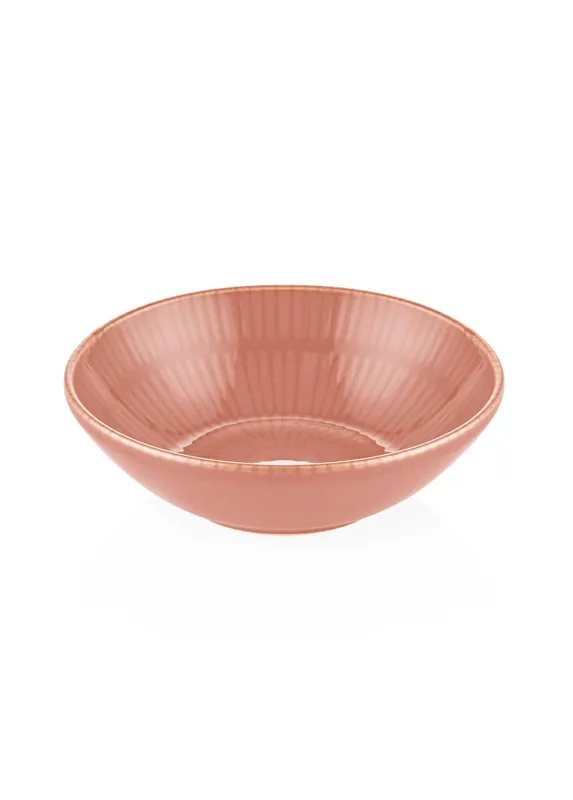 The Mia Noon Bowl Set of 6 Salmon 15 cm