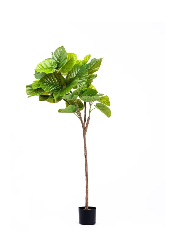 The Mia Artificial Ficus Umbellata Tree Green 150 cm