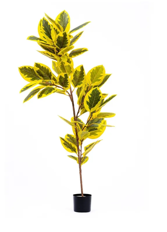 The Mia Artificial Ficus Altissima Tree Yellow Green 170 cm