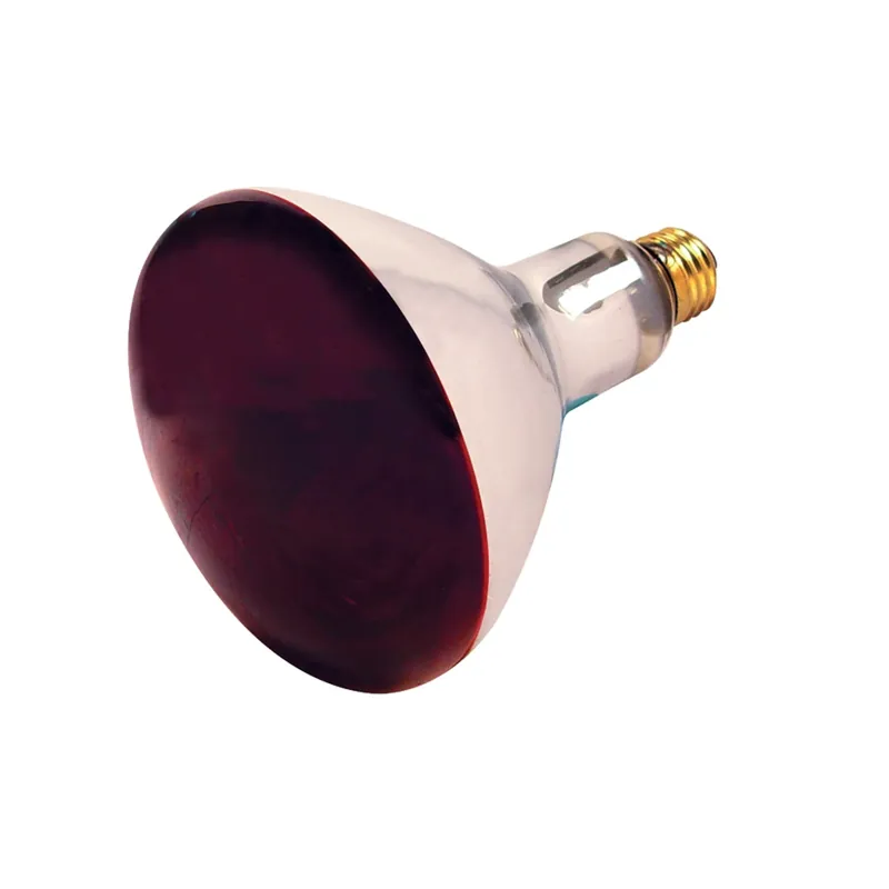 250 W R40 Heat Lamp Incandescent Bulb E26 (medium) Red 1 Pk
