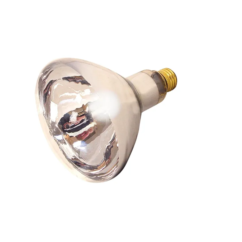 125 W R40 Heat Lamp Incandescent Bulb E26 (medium) Warm White 1 Pk