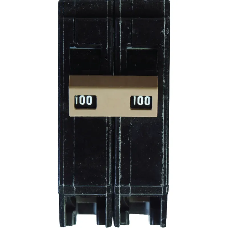 Double-pole Circuit Breaker, 100a
