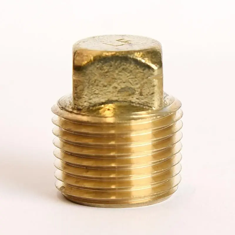 1/2 Inch Mpt Lead-free Brass Square Head Cored Plug For Plumbing Applications