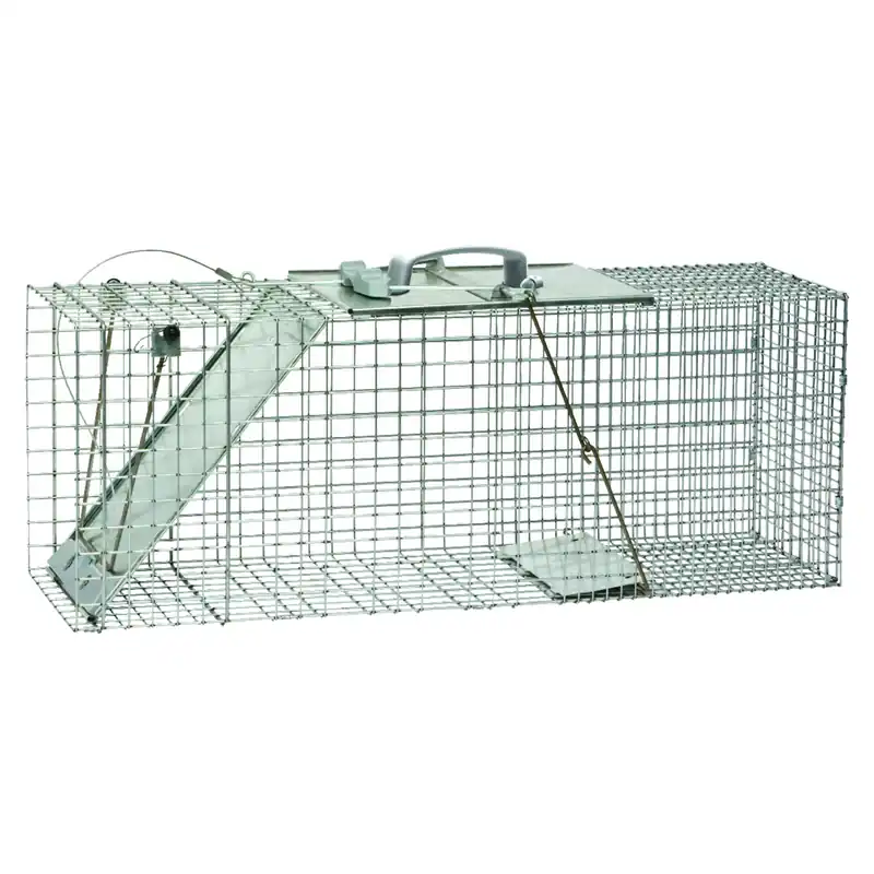 Large Live Catch Cage Trap For Cats And Raccoons 1 Pk