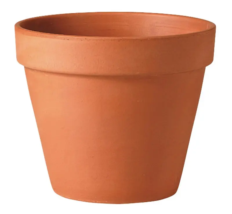 Terra Cotta Clay Flower Pot, Standard, 8-in.