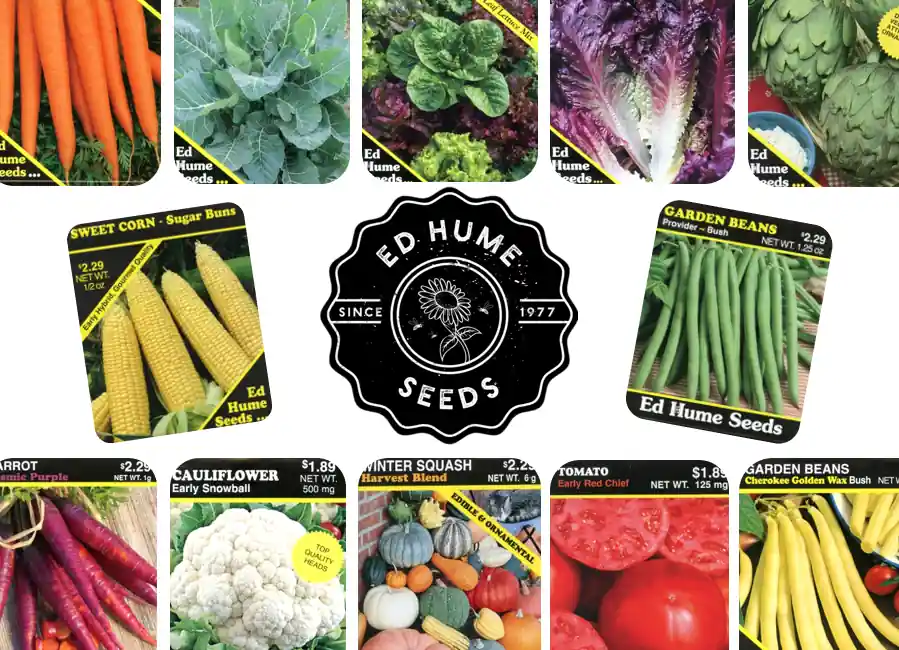 Seeds Assorted Pnw Mix For Home Gardening And Landscaping