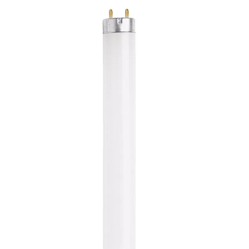 Legacy Bulbs 15 W T8 1.1 In. D X 17.7 In. L Fluorescent Bulb Cool White Linear 4100 K 1 Pk