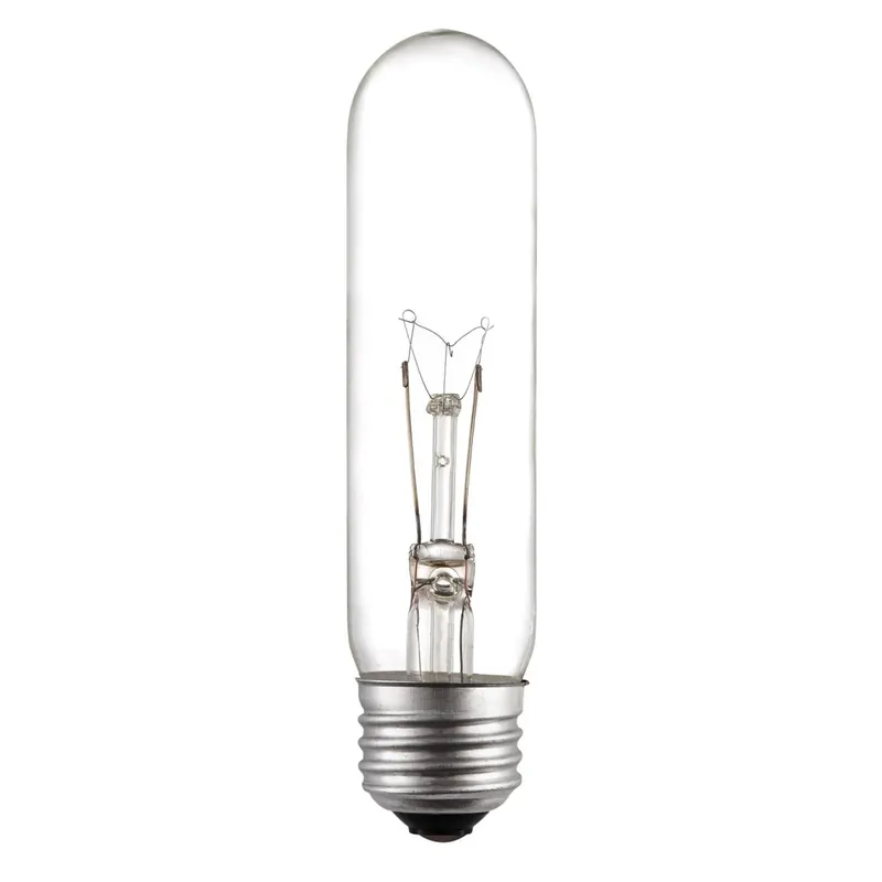 25 W T10 Tubular Incandescent Bulb E26 (medium) White 1 Pk