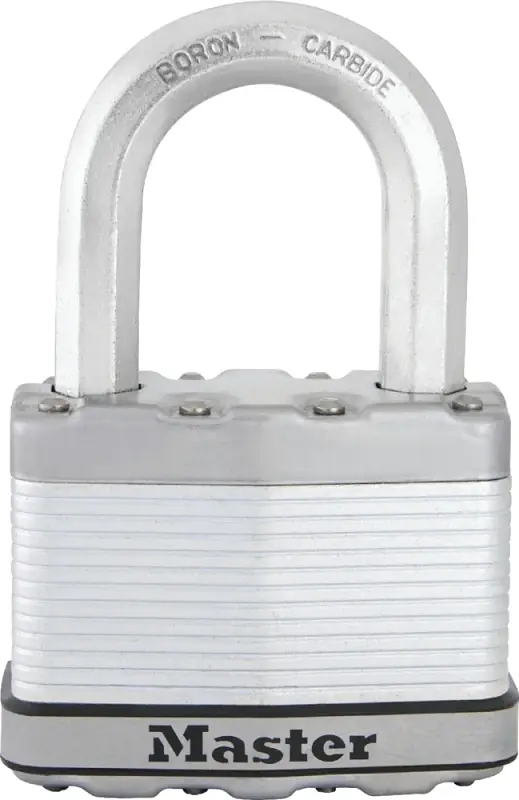 Magnum 2 In. H X 1-1/4 In. W X 2-1/2 In. L Steel Dual Ball Bearing Locking Weather-resis