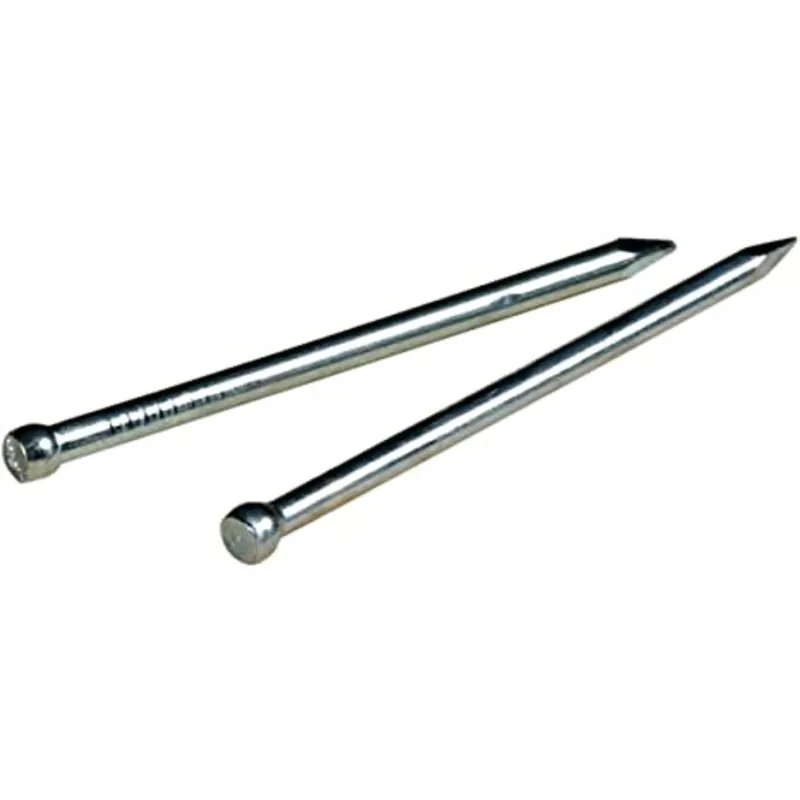 19 Ga. X 1/2 In. L Galvanized Steel Brad Nails 1 Pk 1.5 Oz