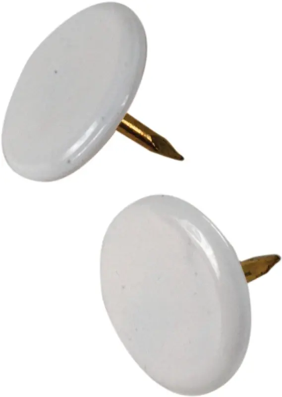 5/16 In. L White Steel Thumb Tacks 40 Pk