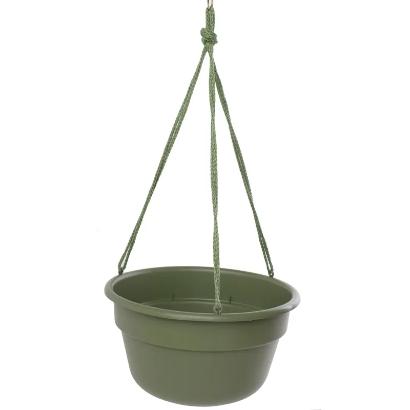 Dura Cotta 12 In. Living Green Plastic Hanging Plant Basket With Self-watering Feature