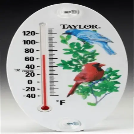 8 Inch Suction-cup Window Thermometer By Taylor Precision Products